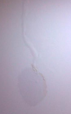 墻內水管漏水怎么辦呢？