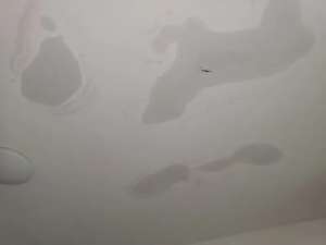 屋頂漏水zui實用的解決辦法！